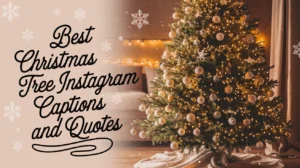 Best Christmas Tree Instagram Captions and Quotes