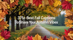 Best Fall Captions to Share Your Autumn Vibes