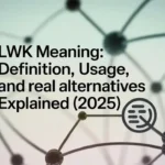 LWK Meaning: Definition, Usage, and Real Alternatives Explained